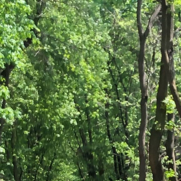 Meet your Posher, Mervin - Picture 1 of 1